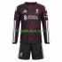 Equipación completa Niño Liverpool Camiseta alternativa 2026-2027 Manga Larga