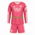Equipación completa Niño Real Madrid Camiseta alternativa 2026-2027 Manga Larga
