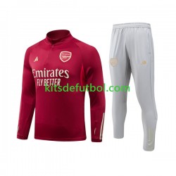 Arsenal Camiseta de Entrenamiento Rojo 2023-2024