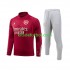 Arsenal Camiseta de Entrenamiento Rojo 2023-2024