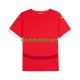 Austria Euro 2024 Hombre Camiseta Rojo de local Manga Corta