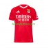 Benfica Hombre Camiseta Rojo de local 2024-2025 Manga Corta
