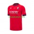 CA Osasuna Hombre Camiseta de local 2024-2025 Manga Corta