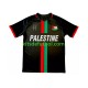 Club Deportivo Palestino Center Stripre Hombre Camiseta de local 2024-2025 Manga Corta