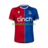 Crystal Palace Hombre Camiseta de local 2023-2024 Manga Corta