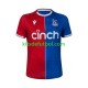 Crystal Palace Hombre Camiseta de local 2023-2024 Manga Corta