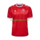 Dinamarca Euro 2024 Hombre Camiseta de local Manga Corta