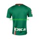 Deportivo Alaves Hombre Camiseta de visitante 2023-2024 Manga Corta