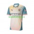 Manchester City Hombre Camiseta Cuarta 2024-2025 Manga Corta
