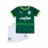 Equipación completa Niño Palmeiras Camiseta de local 2023-2024 Manga Corta