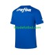 Palmeiras Portero Hombre Camiseta de local 2023-2024 Manga Corta