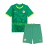 Equipación completa Niño Senegal 2025 Camiseta de visitante Manga Corta