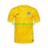 Eslovenia Portero Euro 2024 Hombre Camiseta Amarillo de local Manga Corta