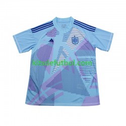 España Portero Euro 2024 Hombre Camiseta Azul de visitante Manga Corta