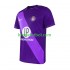 Toulouse FC Hombre Camiseta de local 2024-2025 Manga Corta