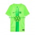 VfL Wolfsburg Hombre Camiseta de local 2024-2025 Manga Corta