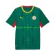Senegal 2026 2027 Hombre Camiseta de visitante Manga Corta